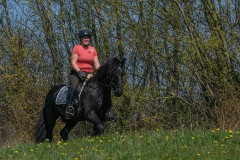 DSC05734