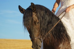 unbenannt-04856